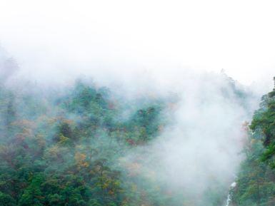 天目山景区