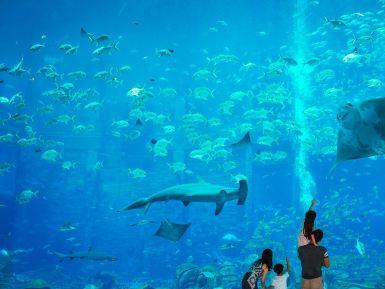 三亚亚特兰蒂斯失落的空间水族馆