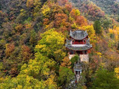 紫柏山景区