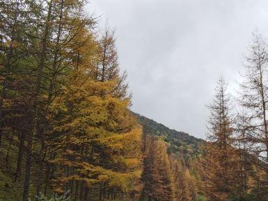 黄柏原生态风景区