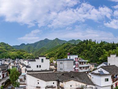 芹川村