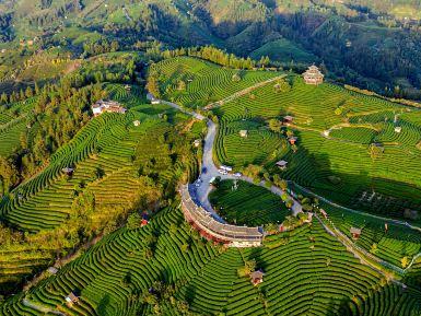 布央茶山旅游区