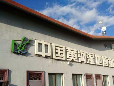 中国黄河湿地博物馆鸟类图片馆