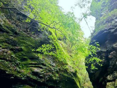 武当山南神道旅游区