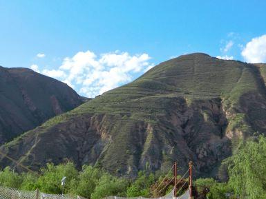 贵清山植物园