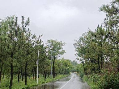 广利河森林湿地公园