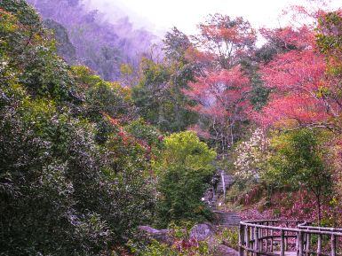 旗山国家森林公园