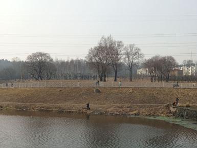 绥滨农场龙府热带植物园区