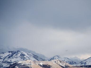 高山草甸带