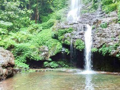 大桂山国家森林公园