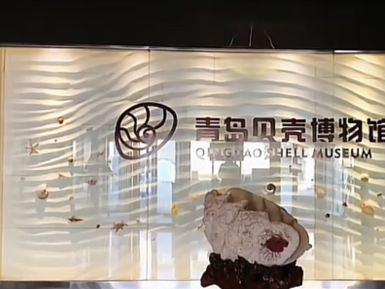 青岛贝壳博物馆