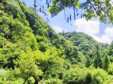 黄子山大峡谷景区