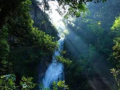 神农谷国家森林公园