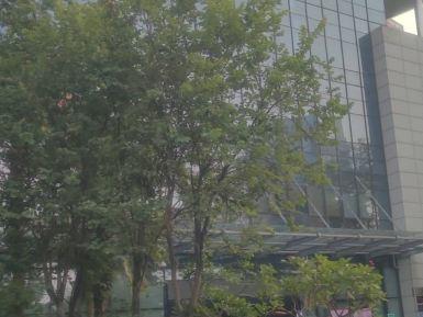 城市规划展览馆