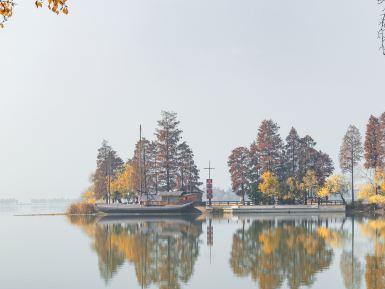 长荡湖湿地公园